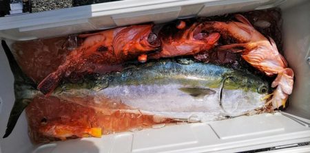 康仁丸・ジギング釣り果